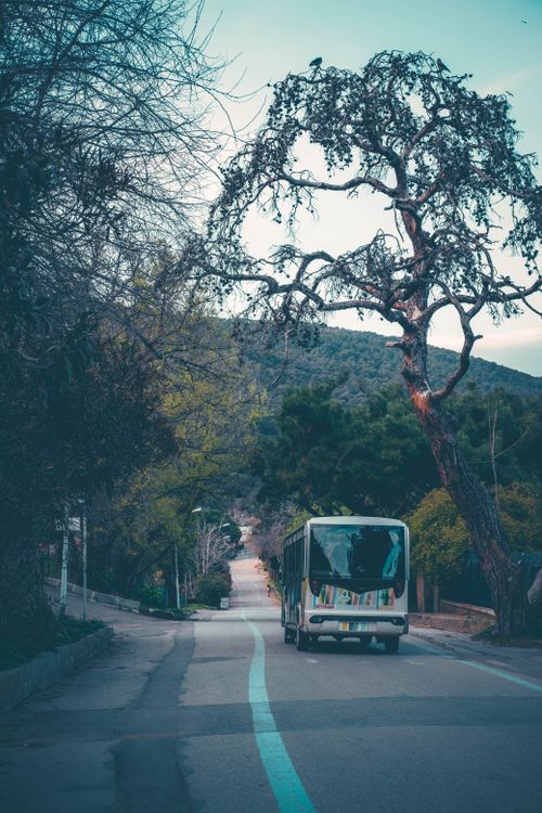 Free a bus travels down a serene rural road surrounded by lush trees and distant hills under a tranquil sky. Stock Photo