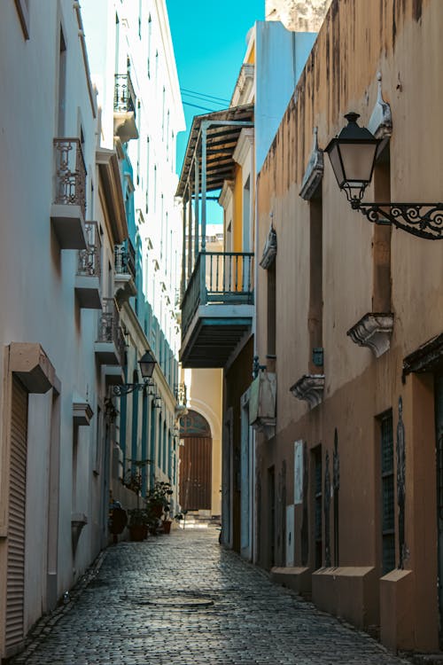 Foto d'estoc gratuïta de Carib, carrer, carrers de la ciutat