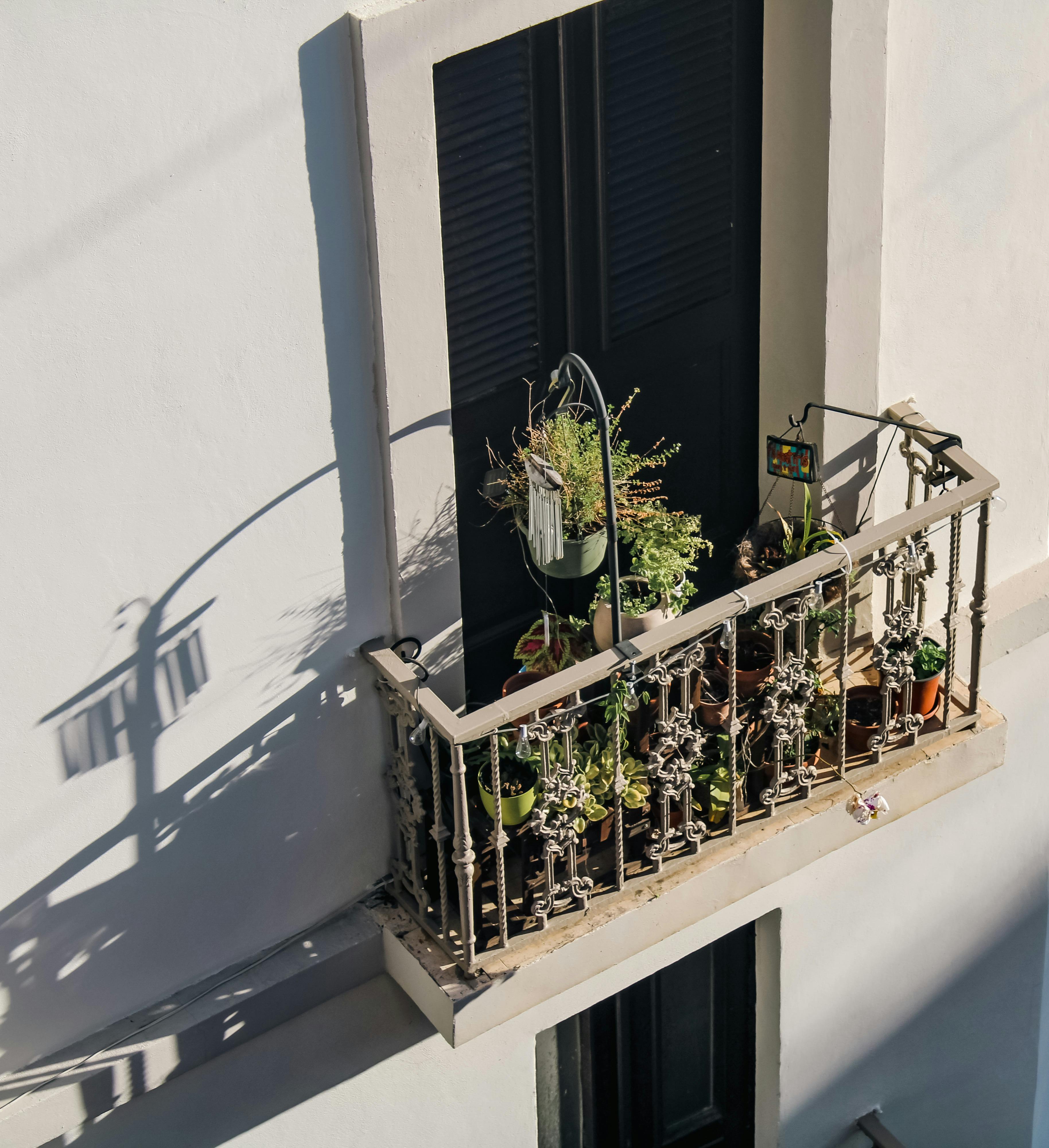 A sunlit balcony adorned with potted plants and intricate railing casting shadows.