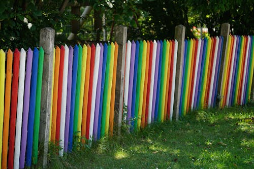 原本, 屏障, 彩虹的顏色 的 免費圖庫相片