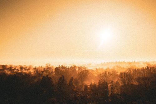 Free A captivating sunset illuminating a misty forest, creating a warm and serene atmosphere. Stock Photo