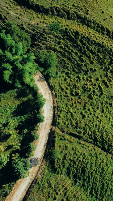 Fotomural Un dron captura una vista en ángulo alto de un camino de tierra iluminado por el sol que serpentea a través de un paisaje verde exuberante.