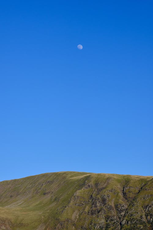 Foto d'estoc gratuïta de camp, cel blau, cel clar