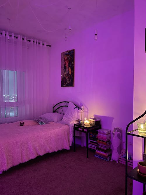 Foto stok gratis cahaya ungu, desain interior, dinding