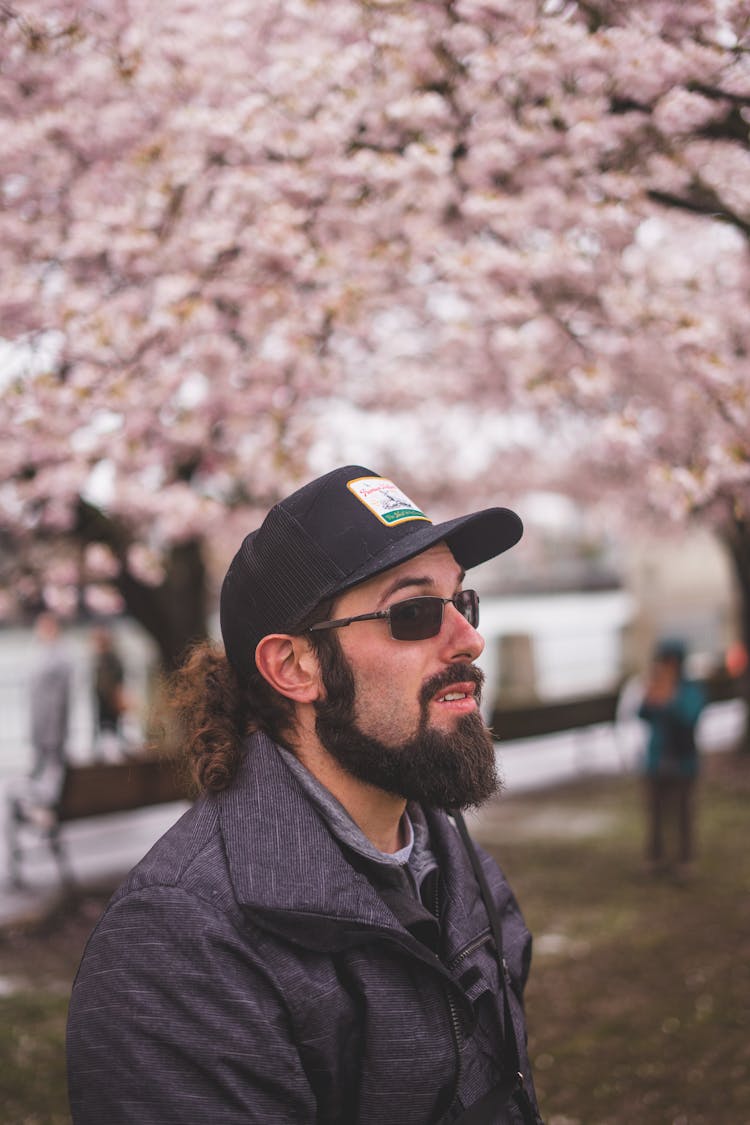 Bearded Man Wearing Baseball Hat Standing Under Cherry Blossom Tree