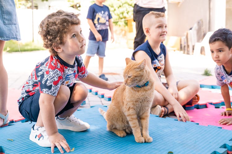 Boys With Cat