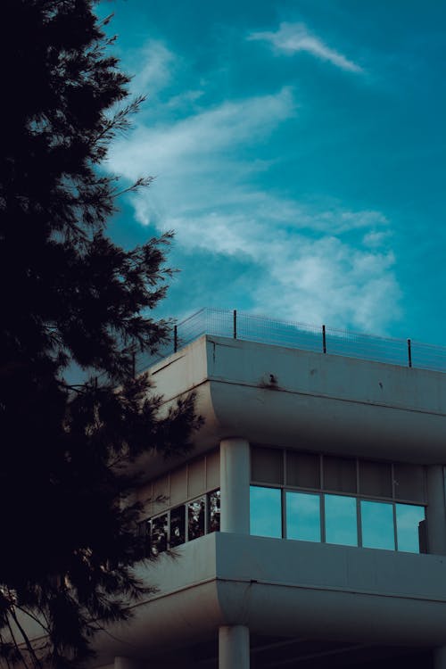 Tree and Building Corner behind