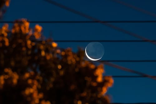 Free stock photo of evening, moon, twilight