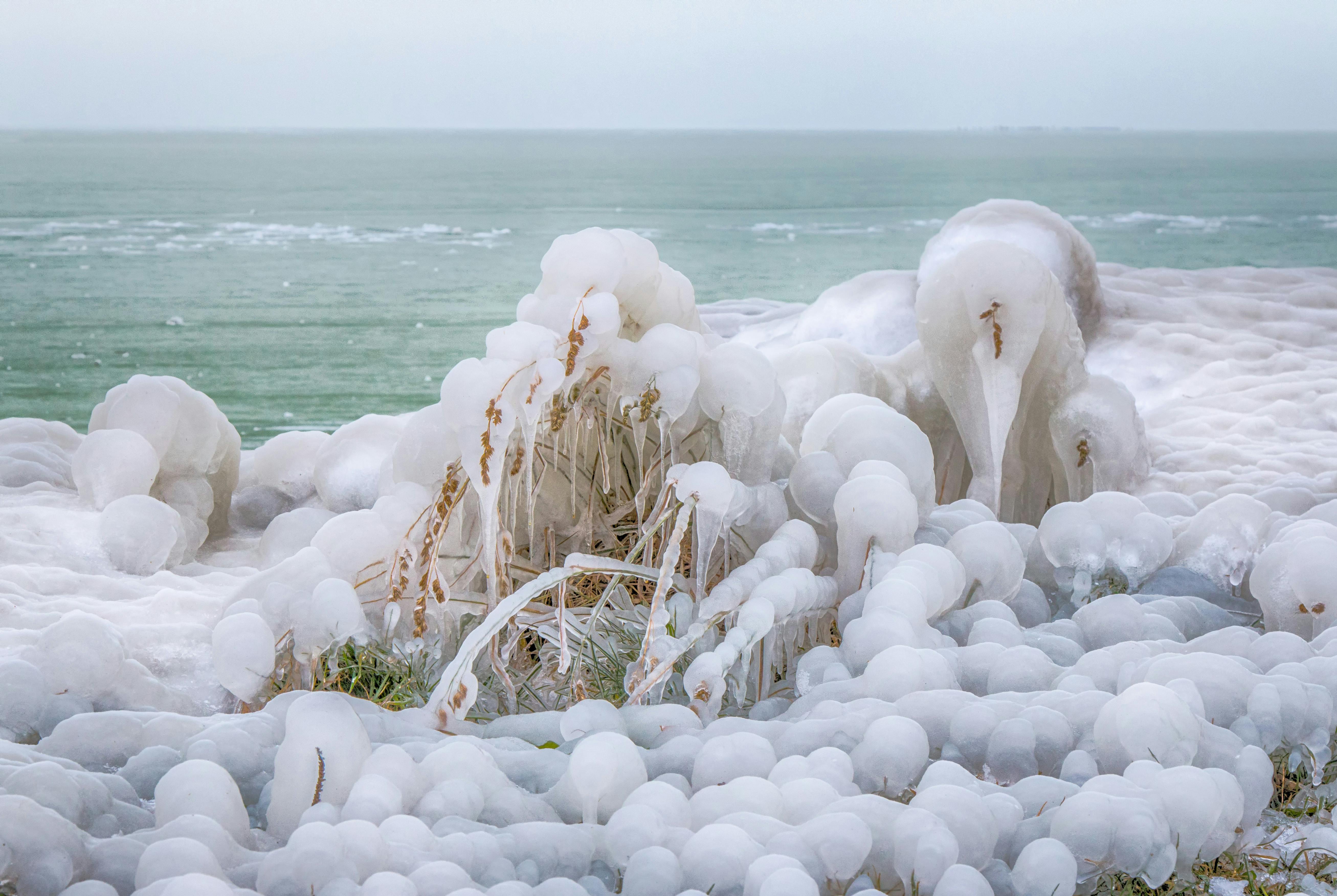 Kostenloses Foto zum Thema einfrieren, eis, eiszapfen