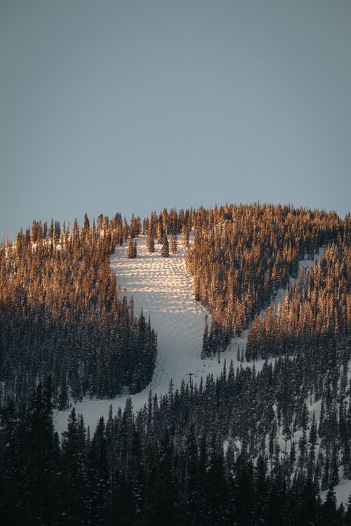 Free A snow-covered mountain with a dense forest under the gentle winter sun. Stock Photo