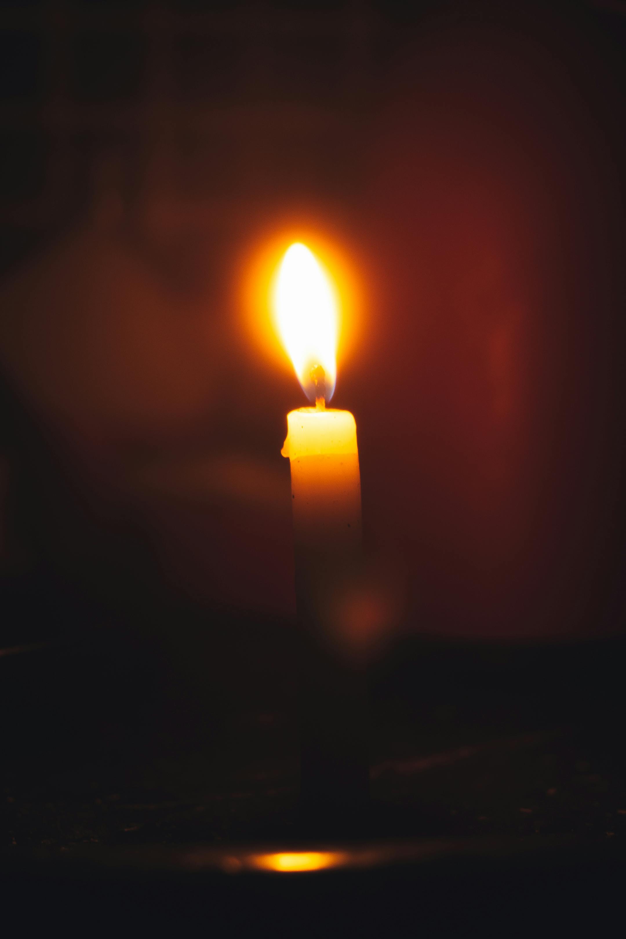 Wax Candles Burning in Darkness · Free Stock Photo