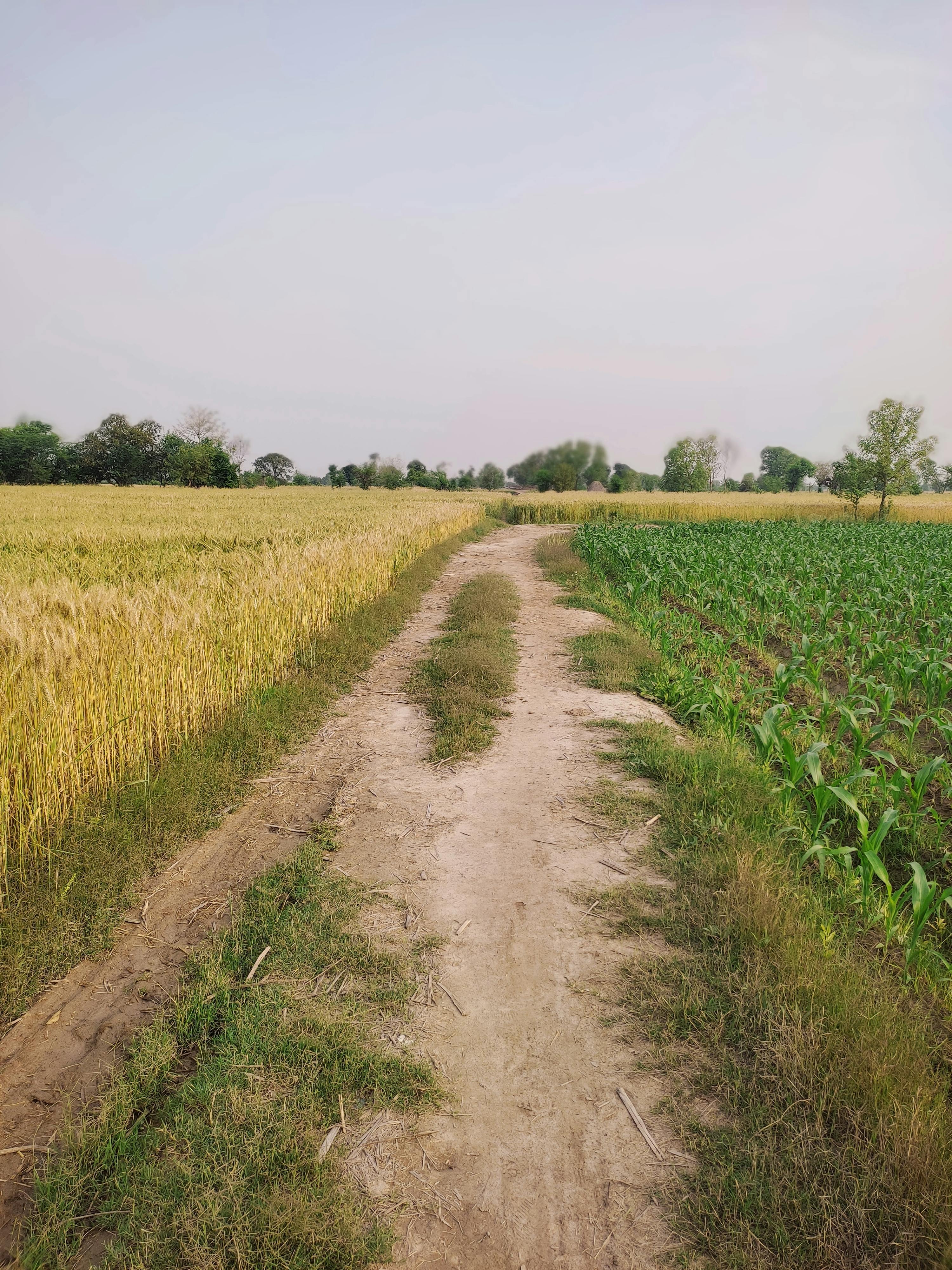 ��� 2020��ֽ, 4k ����, 8k��ֽ �� ����ز�ͼƬ �ز�ͼƬ