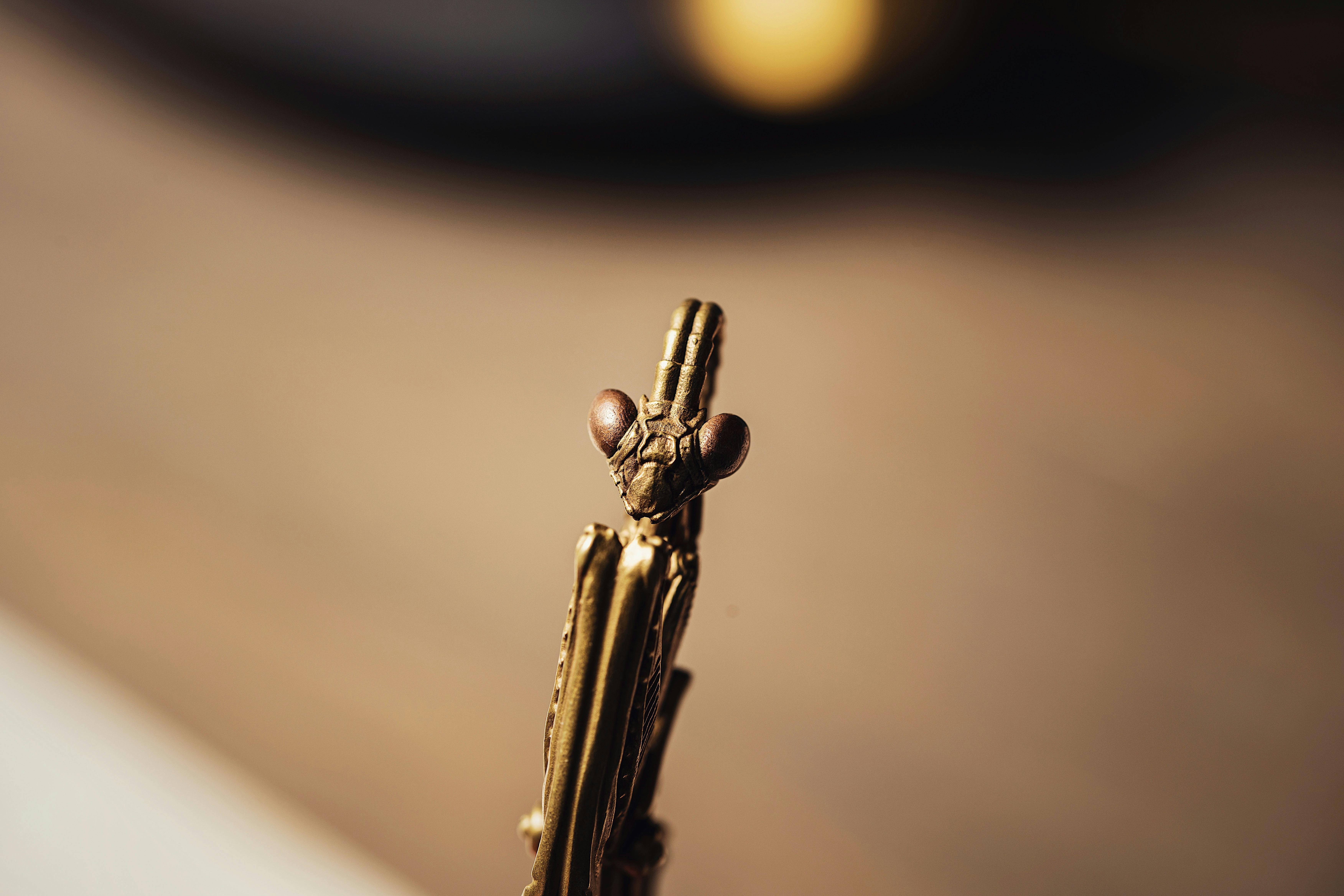 bezplatná Základová fotografie zdarma na téma abstraktní, béžové pozadí, bokeh Základová fotografie