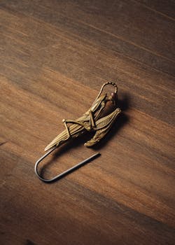Artistic golden insect brooch resting on a smooth wooden table.