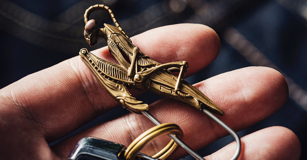 Key Fob with a Praying Mantis Pin · Free Stock Photo