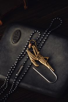 Antique brass brooch with insect motif on black chain, accented by hook.