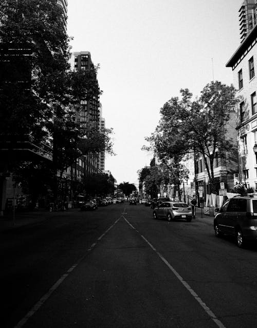 Základová fotografie zdarma na téma černobílý, města, město