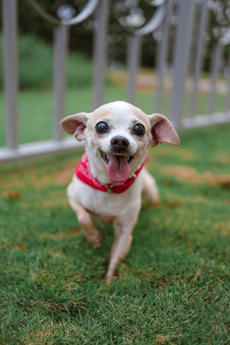 Samsung Microwave Warranties Everything You Should Know Press To Cook