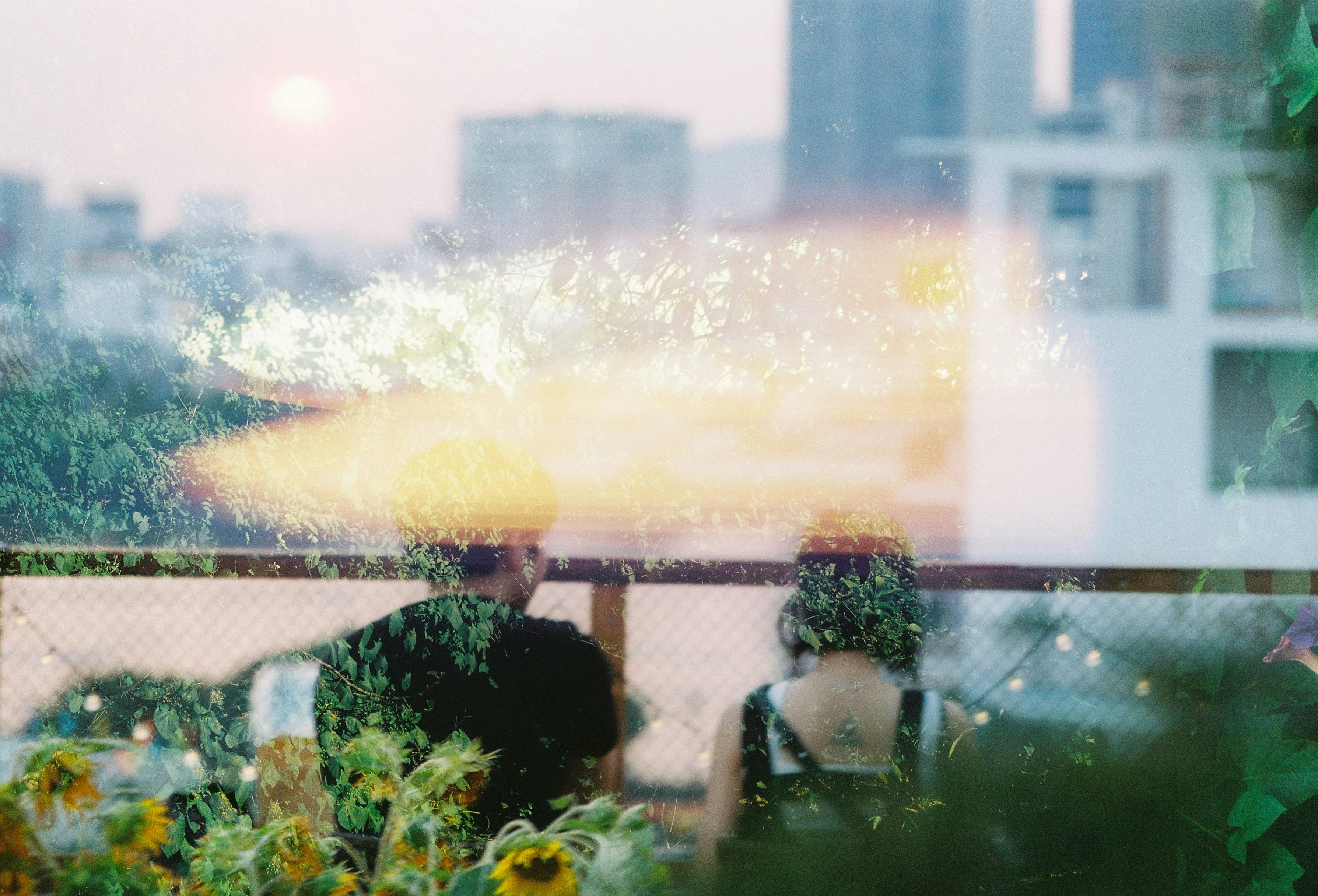 A couple enjoys a warm sunset view from a balcony, surrounded by blooming sunflowers.