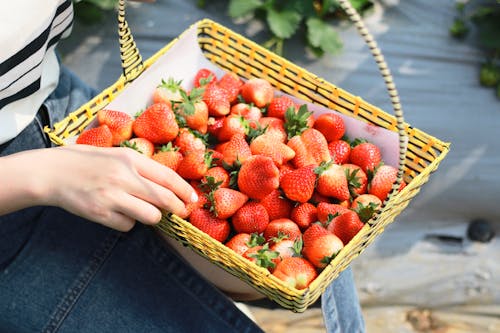 Imagine de stoc gratuită din căpșuni, coș, femeie