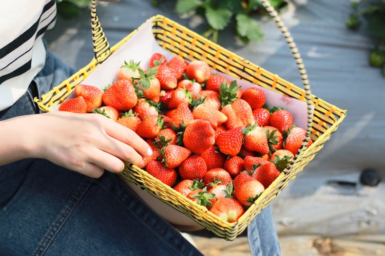 Woman With Basket Of Strawberries