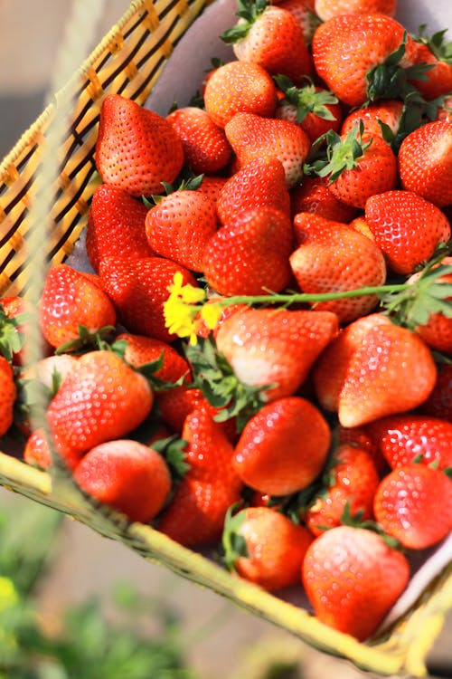 Close-up of Strawberries in a Basket 
