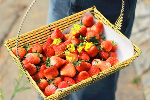 Free Vibrant fresh strawberries in a wicker basket with flowers, evoking summer's bounty. Stock Photo