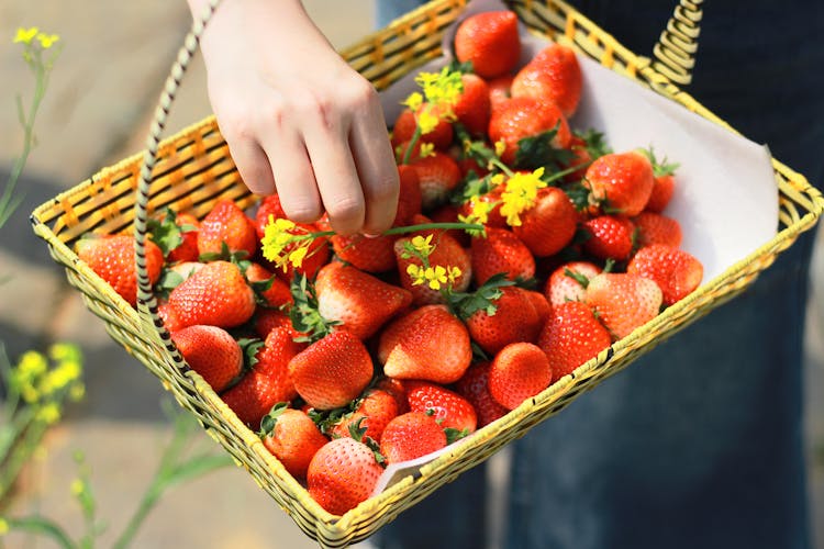 Basket With Fresh Strawberries