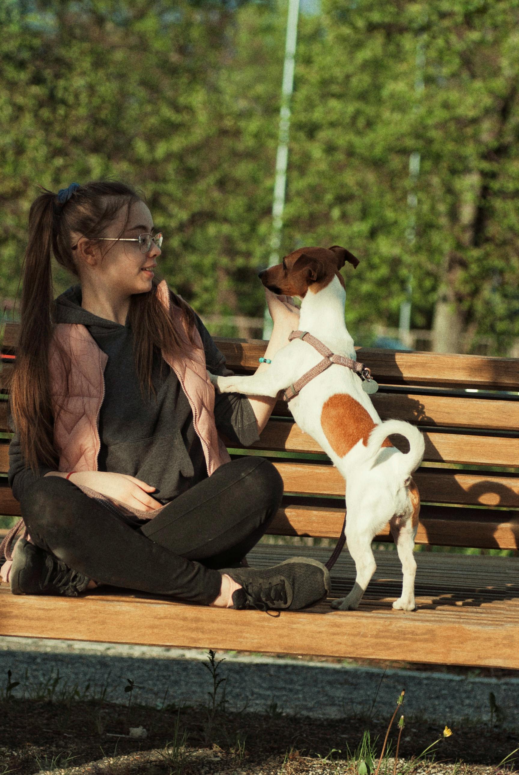 teenage girl sitting on bench and playing with small dog on leash