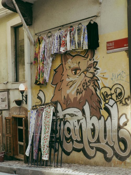 Gratis stockfoto met graffiti, kat, muren