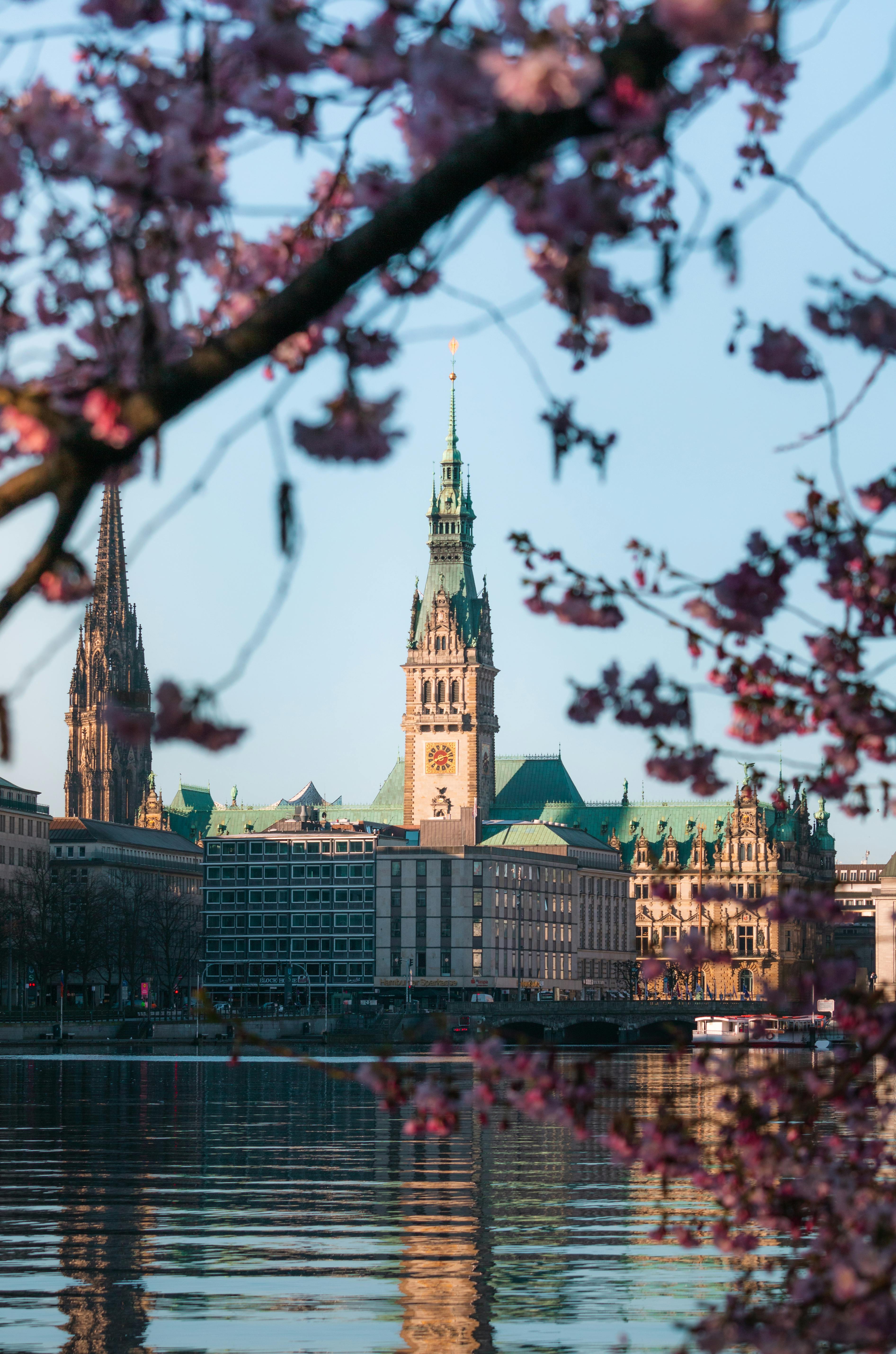 a view of a city with cherry blossoms and a clock tower