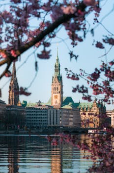 Beautiful view of Hamburg Town Hall framed by cherry blossoms, reflecting elegance in spring.