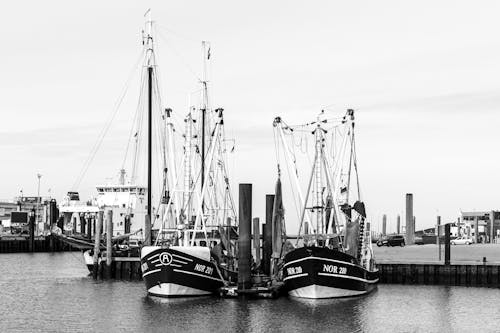 Photos gratuites de à quai, bateaux de pêche, chalutiers