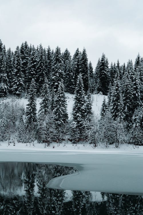 冒險, 冬季, 冰 的 免费素材图片