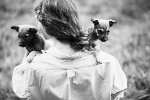 A woman holding two small dogs in her arms