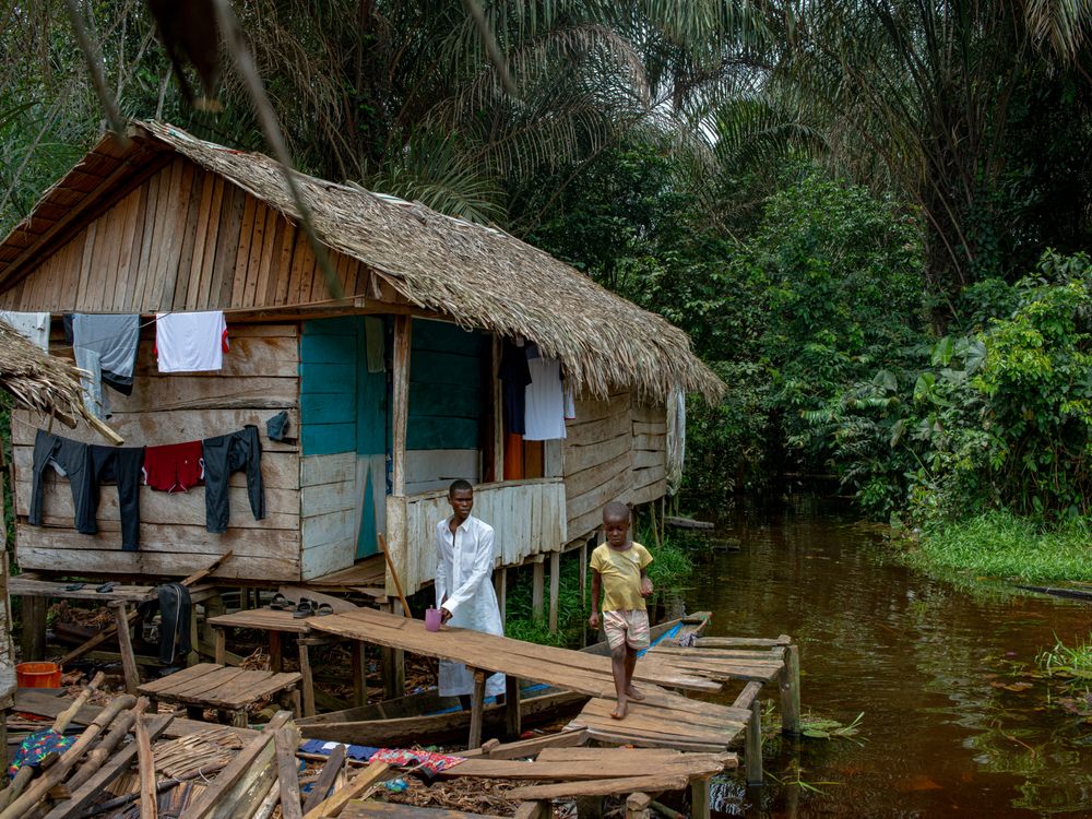 Wooden barn in a jungle, Central African Republic