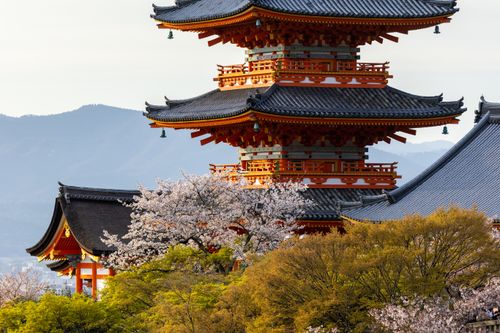 Free Stunning spring view of Kiyomizu-dera temple with cherry blossoms in Kyoto, Japan. Stock Photo