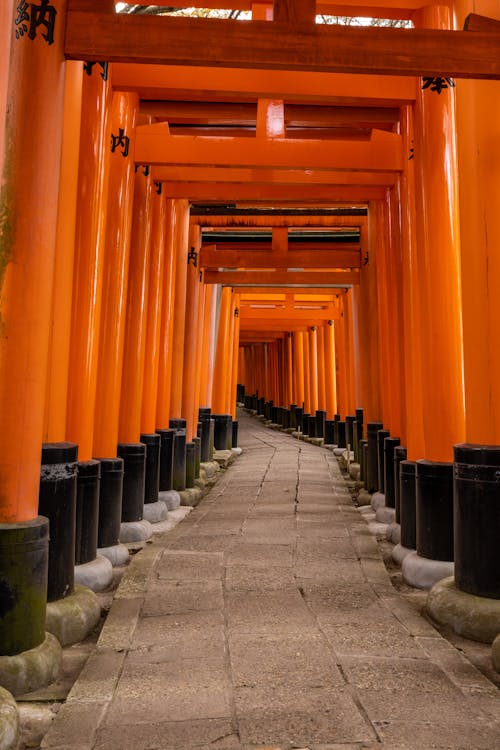 京都, 伏见稻荷大社, 垂直拍摄 的 免费素材图片