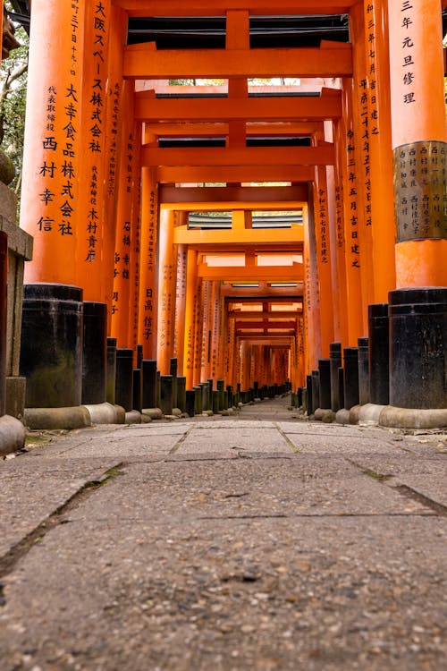 Fotos de stock gratuitas de camino, foto de ángulo bajo, Fushimi Inari-Taisha