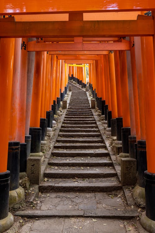 Fotos de stock gratuitas de arquitectura japonesa, camino, Fushimi Inari-Taisha