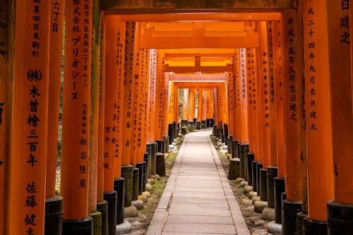 Foto stok gratis barisan tiang, Jepang, koridor
