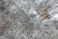 这张航拍照片捕捉到了冬日霜冻森林的宁静之美，树木被白雪覆盖