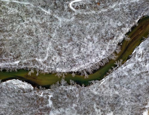 Základová fotografie zdarma na téma les, letecký snímek, mráz