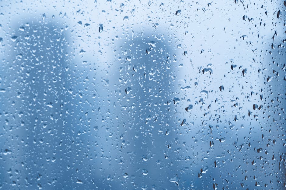 Weather Forecast and Future Outlook