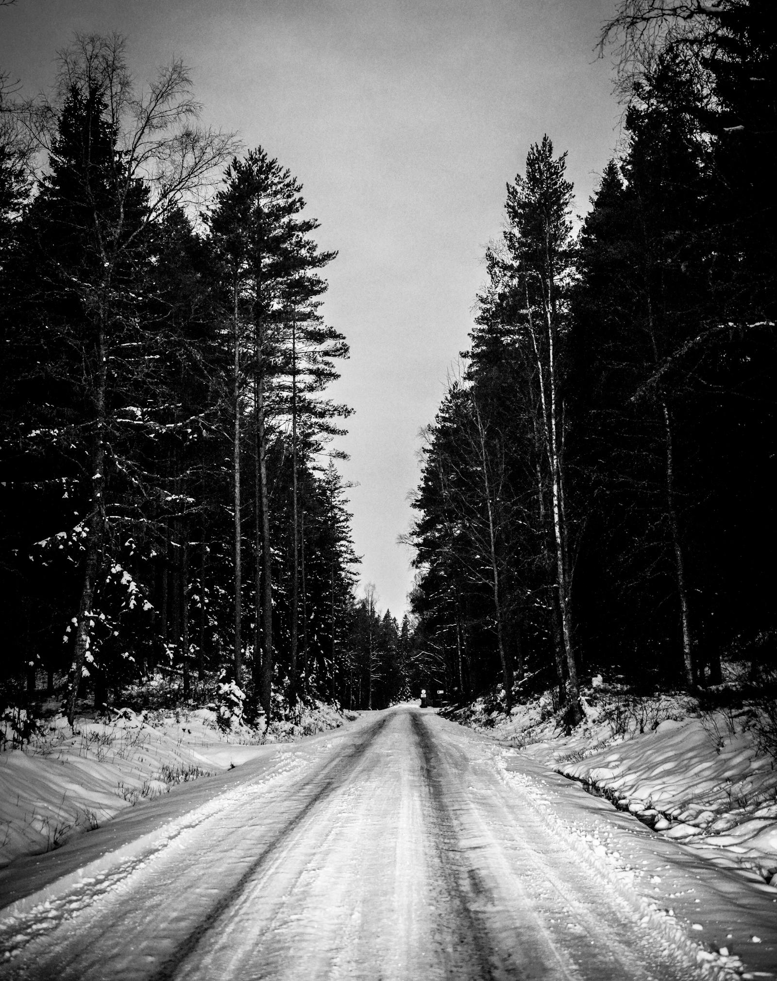 Snow Shower Photos, Download The BEST Free Snow Shower Stock Photos