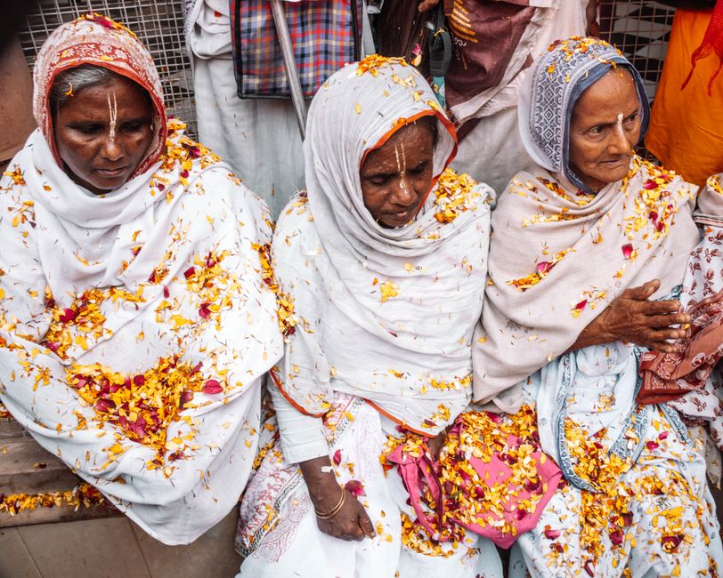 Rehmat Card for Widows and Orphans Support Scheme