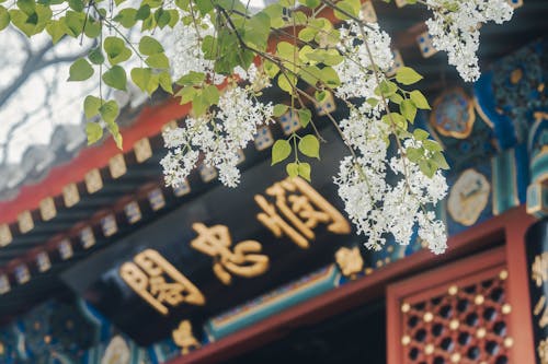 คลังภาพถ่ายฟรี ของ 北京, 历史建筑, 建筑