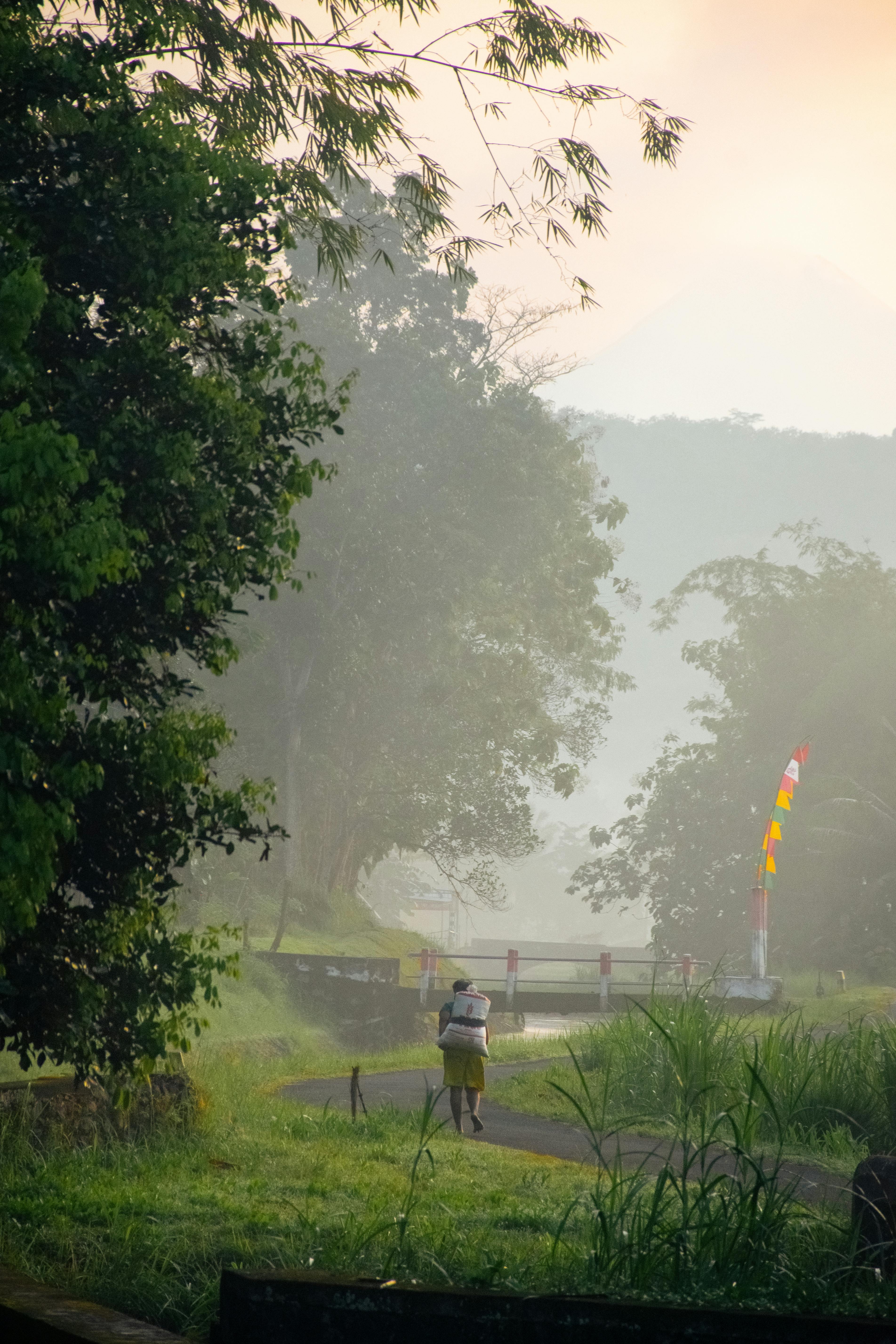 Gratis arkivbilde med agrar, alam, amulett Arkivbilde