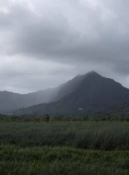 Mountainous landscape enveloped by rain clouds with lush green grass in the foreground.
