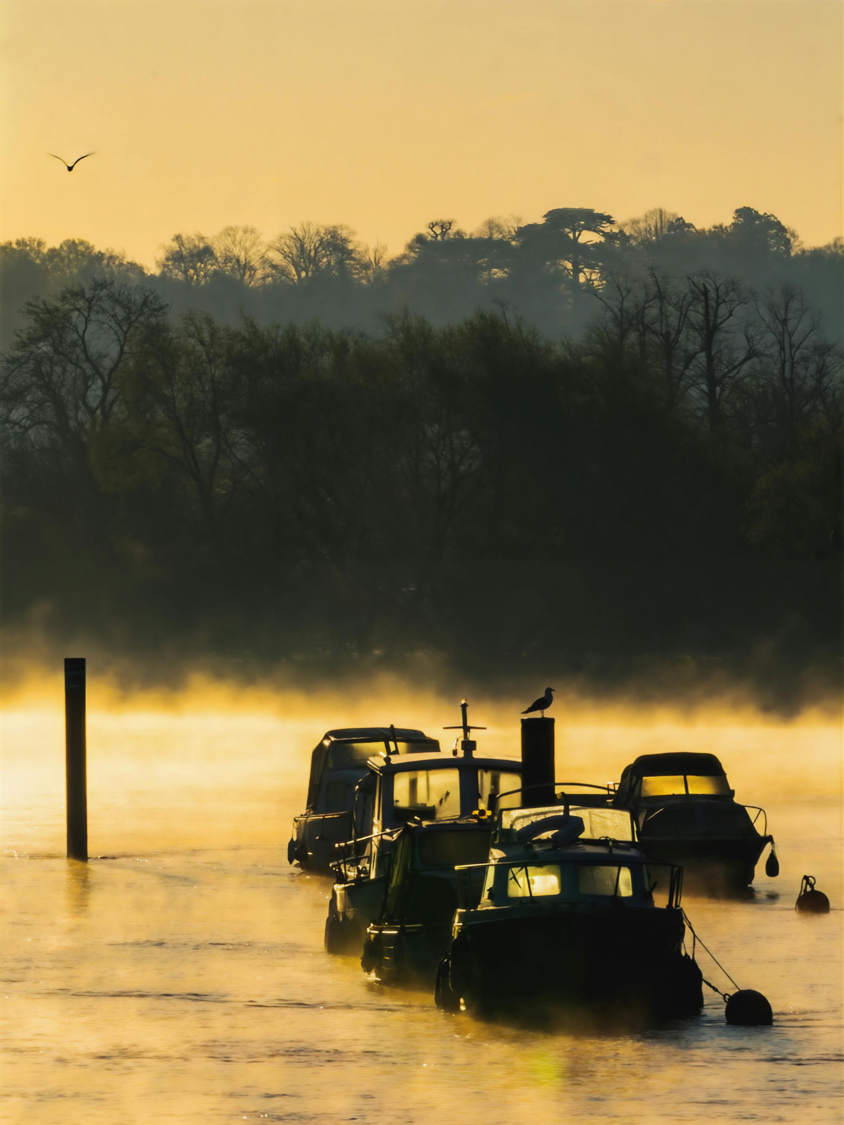 Sunrise London England: Discover Stunning Views and Hidden Gems 3 Why Sunrise Photography in London England Is a Must-Try for Every Traveller